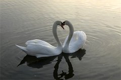 **..�ovE..**